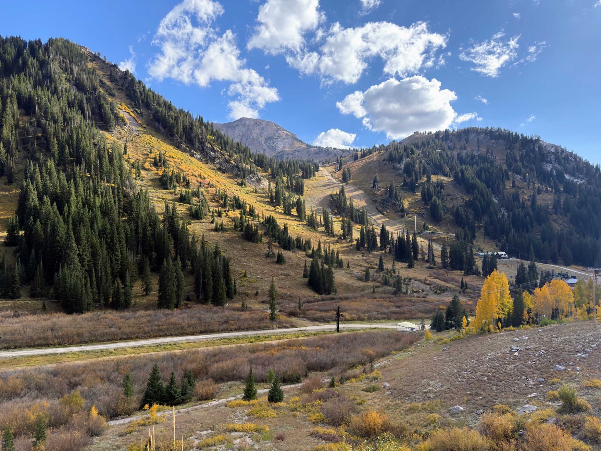 Alta, Utah in the fall, with yellow aspens, up little Cottonwood Canyon